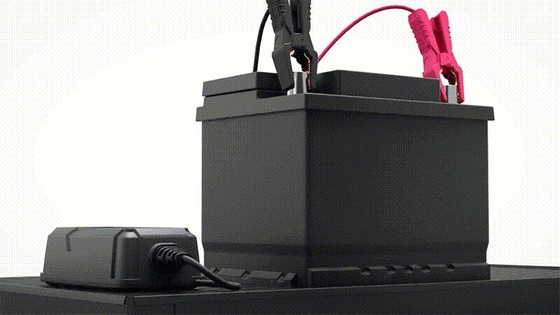 TB6000Pro_GIF_1